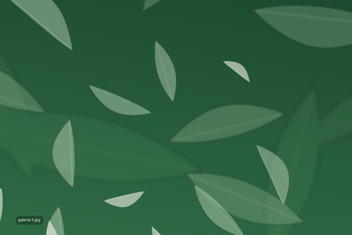 Jardín diseñado por el equipo